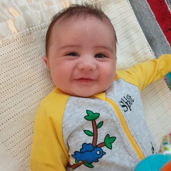 Meet your Posher, Deanne and Ruby πββ¬. - Picture 9 of 16